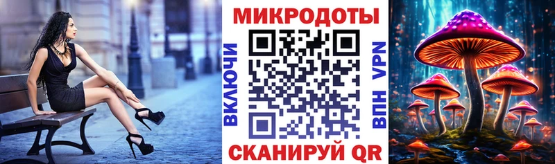 omg как зайти  Арамиль  Псилоцибиновые грибы GOLDEN TEACHER 
